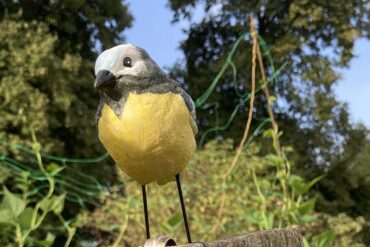 Jeudi 16 juillet, visite guidée du Jardin des Plantes