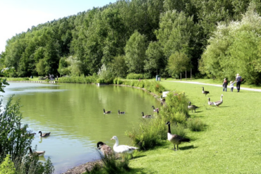 Forum de la déficience visuelle à Roncq, c&rsquo;est ce samedi !